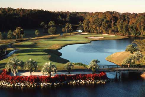 wdw_golf_palm_03 wdw_golf_palm_03