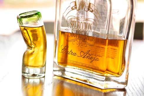 dtd_p37_herradura_a © Copyright Disney